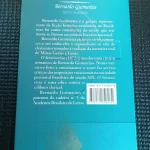 O Seminarista - Bernando Guimarães (4)