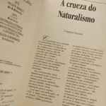Livro A Carne Júlio Ribeiro Série Bom Livro (2)
