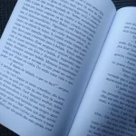 Livro Delírios de um Plagiador Fernando Baggio Coleção 2000 (3)