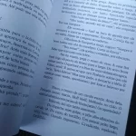 Livro Sombras Sérgio Schaefer Coleção 2000 (3)