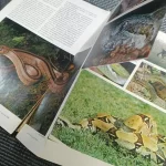 revista-geografica-universal-n114-1984 (5)