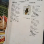 revista-geografica-universal-n124-1985 (3)