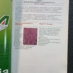 revista-geografica-universal-n138-1986 (3)