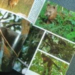 revista-geografica-universal-n138-1986 (5)