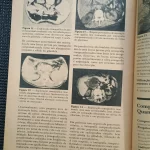 revista-geografica-universal-n90-1982 (7)
