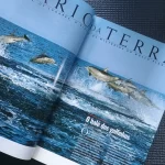 revista-national-geographic-brasil-n39-2003 (3)