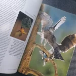 revista-national-geographic-brasil-n39-2003 (5)