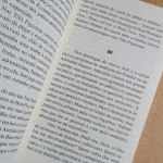A Guerra no Bom Fim Moacyr Scliar L&PM Pocket Vol 352 (4)