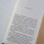 As Testemunhas Rebeldes Simenon L&PM Pocket Vol 495 (5)