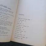 Diário de um homem traído - Pierre Drieu (12)