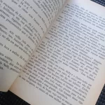 Diário de um homem traído - Pierre Drieu (13)