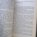 Diário de um homem traído - Pierre Drieu (15)