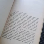 Diário de um homem traído - Pierre Drieu (6)