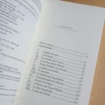 O Porto das Brumas Simenon L&PM Pocket Vol 384 (3)