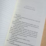 O Porto das Brumas Simenon L&PM Pocket Vol 384 (4)
