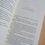 O Porto das Brumas Simenon L&PM Pocket Vol 384 (5)