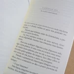 O Porto das Brumas Simenon L&PM Pocket Vol 384 (6)