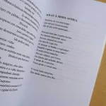 Quintana de Bolso L&PM Pocket Vol 71 (5)