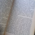 Um Parceiro Desconhecido - Jerzy Kosinski (10)