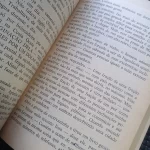 Um Parceiro Desconhecido - Jerzy Kosinski (11)