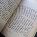 Um Parceiro Desconhecido - Jerzy Kosinski (12)