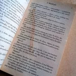 Livro A Maldição Rachel Lee Grandes Autores Edição 4 (4)