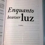 Livro O Misterioso Caso de Styles e O Caso do Hotel Bertram Agatha Christie (9)