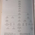 O Senhor dos Anéis O Retorno do Rei (10)