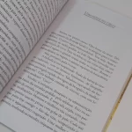 Livro As Muralhas de Jericó Josué Guimarâes LPM 2001 pg91