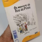 Os meninos da rua da praia Sérgio Capparelli volume 3 LPM