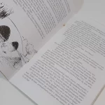 Os meninos da rua da praia Sérgio Capparelli volume 3 LPM pg31