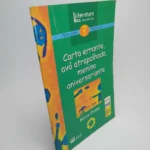 Carta errante, avó atrapalhada, menina aniversariante - Mirna Pinsky - Editora FTD (Capa)
