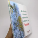 Da história da Árvore Lunar à moderna consciência ambiental em Santa Rosa - Clairto Martin