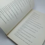 Em Busca do Sentido da Vida - Augusto Cury - Edittora Planeta (Usado) Sumario2