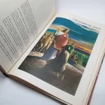 Livro A mais Bela história A bíblia em Quadrinhos - coleção Diamante - pg191