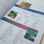 Livro O maravilhoso poder das plantas - Eliza Biazzi - Sumário