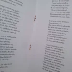 Ofício de poeta - Álvarez de Azevedo - Editora scipione (pg33)