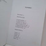 Pipocas - Rubem Fonseca - Editora Companhia das Letras (Sumário)