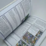 A cidade-fantasma-Editora Scipione (respostas)