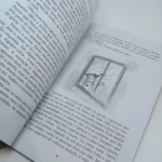Carolina e a Ostra - Júlio Empilio Braz (Página 9)