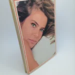 livro o perigo do dragão bruna lombardi editora record (contracapa)