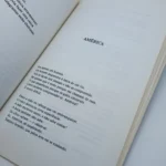 A Rosa do Povo - pagina 155