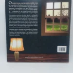 os lentos anos de santinha na companhia de emiliana elisiário goulart rocha editora letras brasileiras (contracapa)