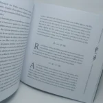 os lentos anos de santinha na companhia de emiliana elisiário goulart rocha editora letras brasileiras (página 45)