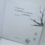 os lentos anos de santinha na companhia de emiliana elisiário goulart rocha editora letras brasileiras (página 5)